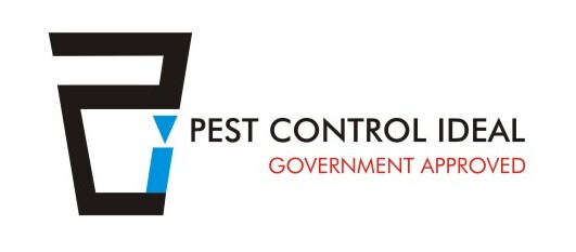 PestControl Services in Mumbai